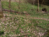 Ausflug rund um Wirsberg 3. April_1