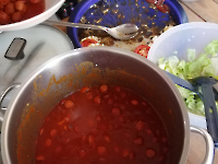 DHelferfest bei Sylvia und Björn_1