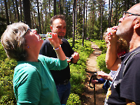 Ausflug Midnights Juni 24_14