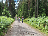 Ausflug Midnights Juni 24_27