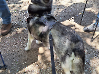 Ausflug Midnights Juni 24_30