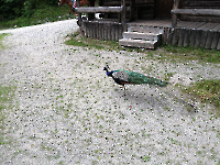 Ausflug Pullman Juli 24_3