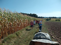 Wanderung Midnights 8.9.24_10