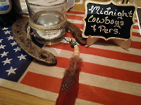 Countryfest Country Friends Pegnitz 16.11.25_5