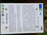 Wanderung Midnights 14.9.25_13